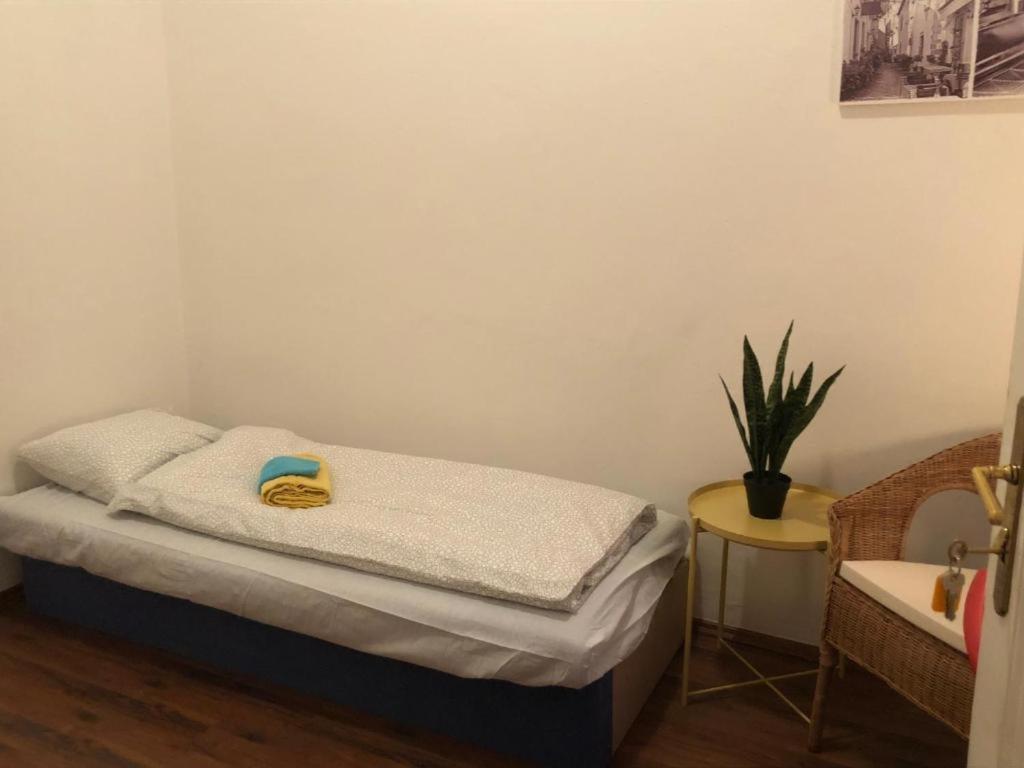 Apatrhostel Brno Bagian luar foto