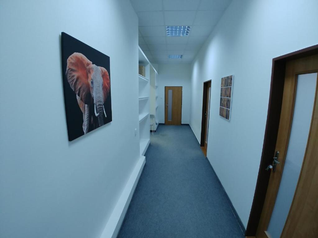 Apatrhostel Brno Bagian luar foto